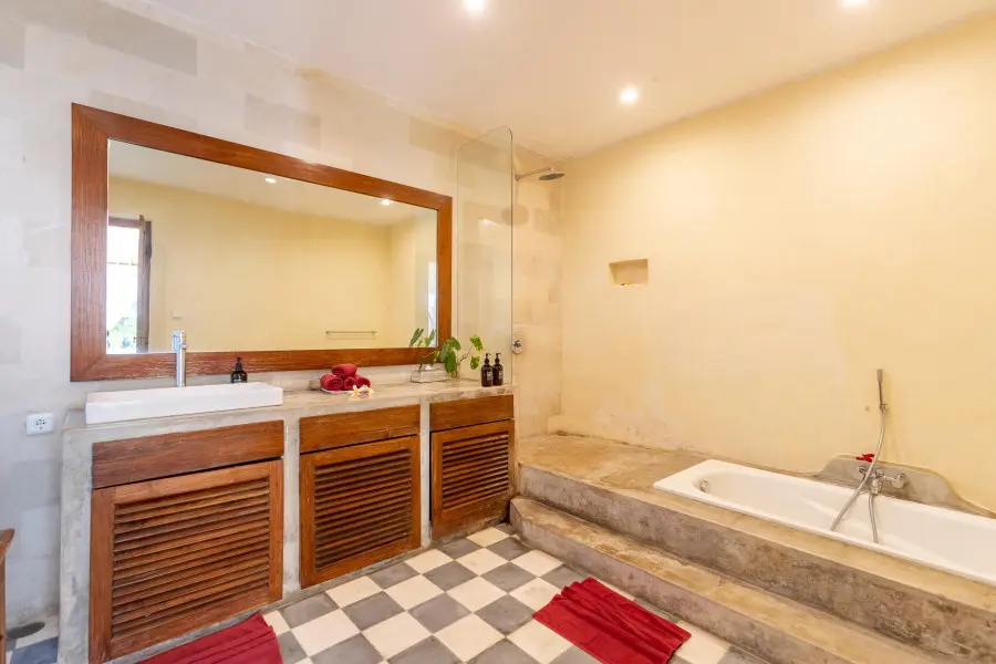 171151644199253_NAG9408