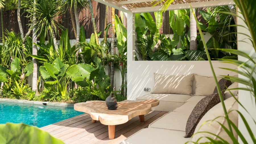 173208447419777DSCF9085